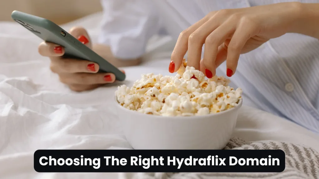 Choosing The Right Hydraflix Domain