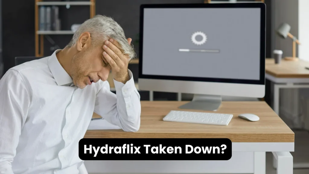 Hydraflix Taken Down