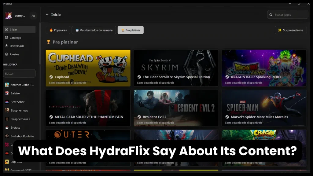 What Does HydraFlix Say About Its Content?
