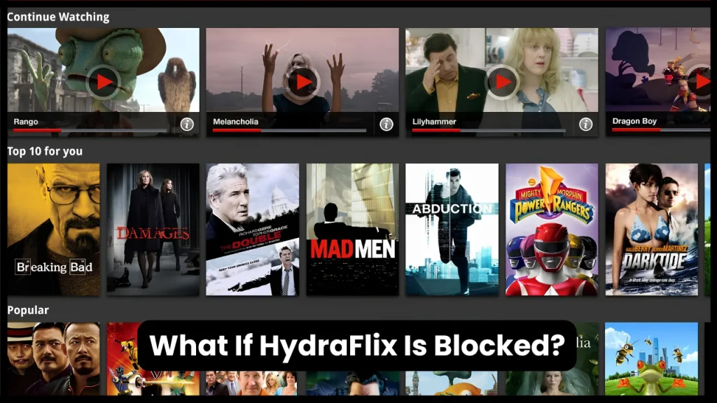 What If HydraFlix Is Blocked?